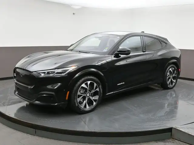 2022 Ford Mustang Mach-E - Photo 3