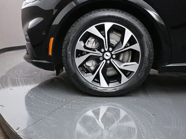 2022 Ford Mustang Mach-E - Photo 4