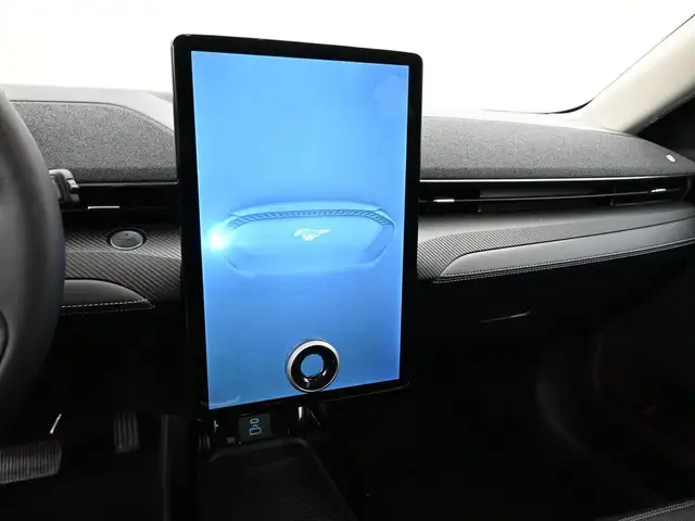 2022 Ford Mustang Mach-E - Photo 6