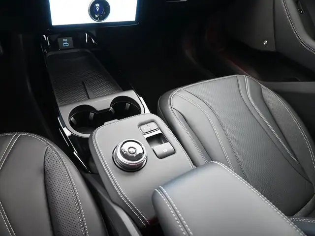 2022 Ford Mustang Mach-E - Photo 11