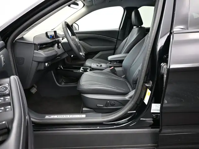 2022 Ford Mustang Mach-E - Photo 14