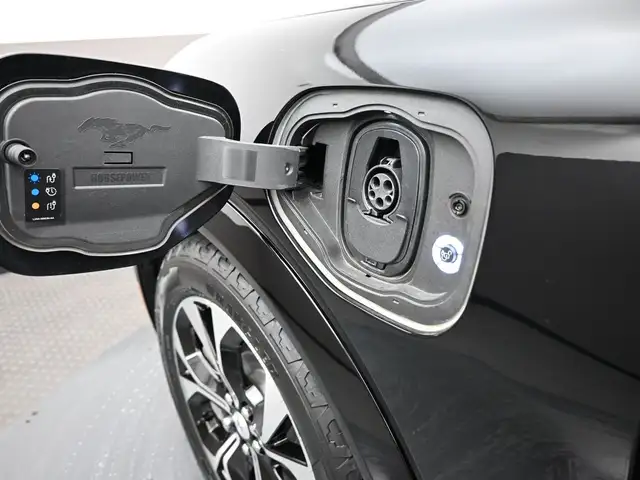 2022 Ford Mustang Mach-E - Photo 20