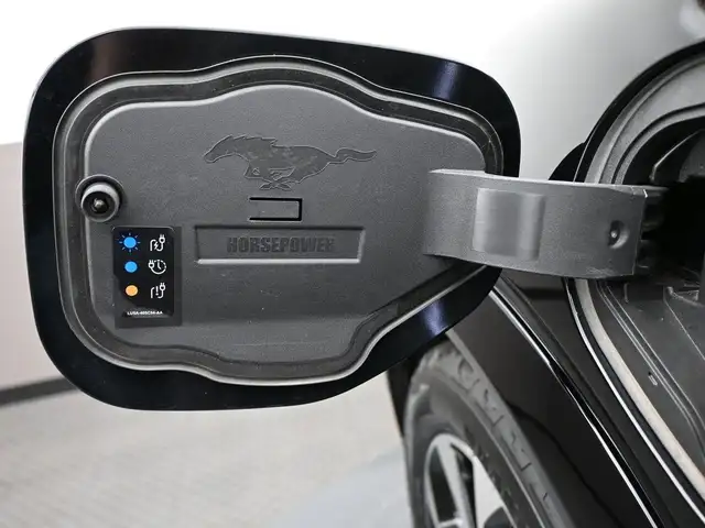 2022 Ford Mustang Mach-E - Photo 21