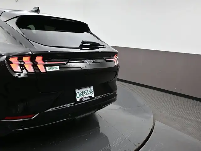 2022 Ford Mustang Mach-E - Photo 22