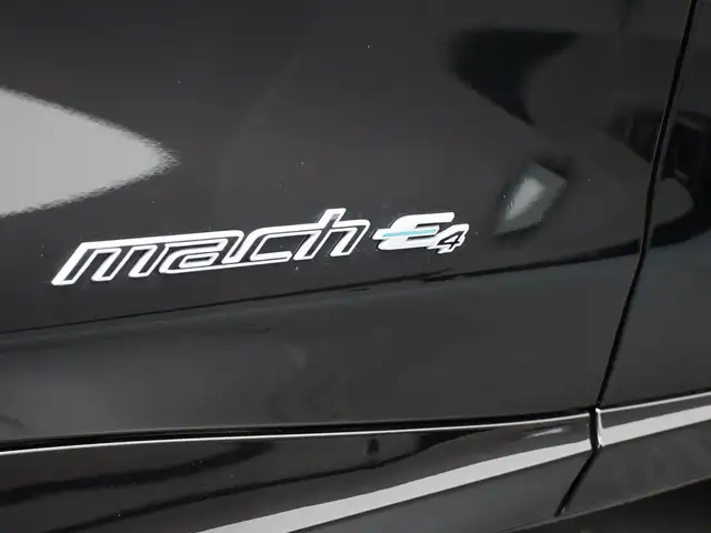 2022 Ford Mustang Mach-E - Photo 23