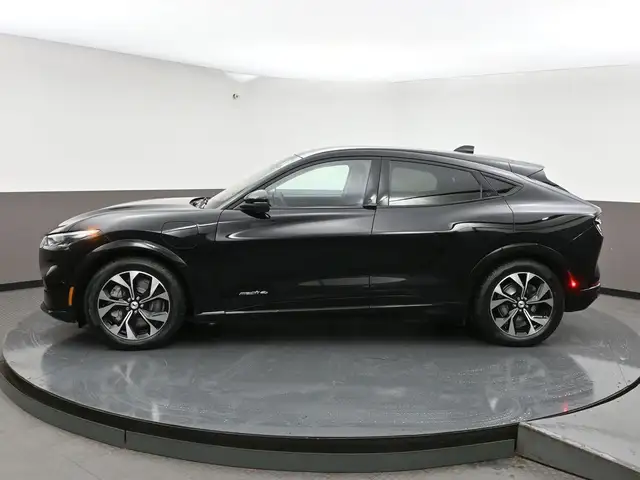 2022 Ford Mustang Mach-E - Photo 33