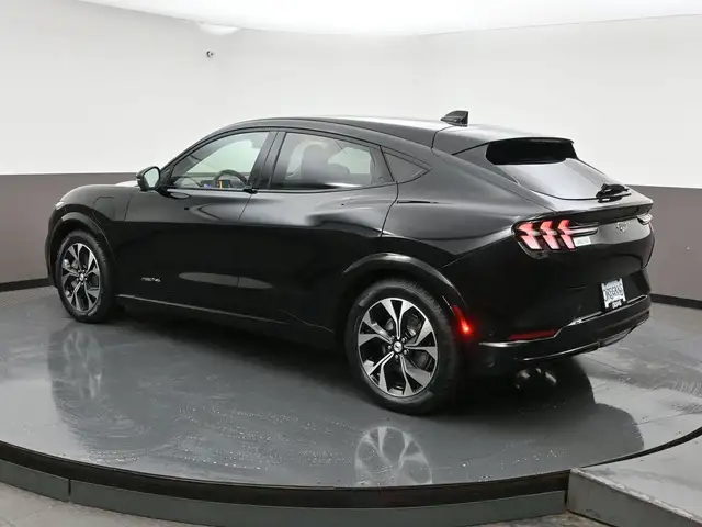 2022 Ford Mustang Mach-E - Photo 34
