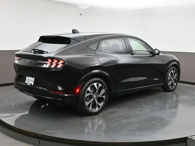 2022 Ford Mustang Mach-E - Photo 36
