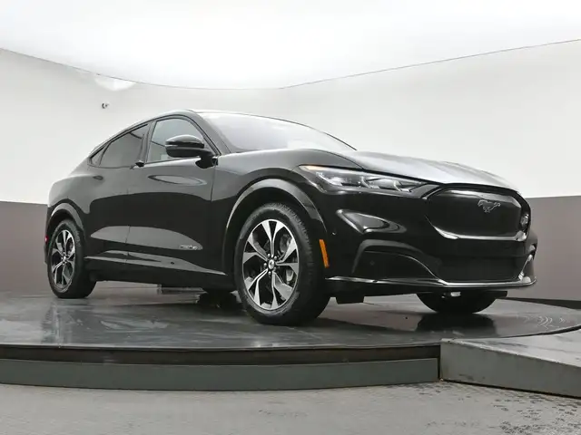 2022 Ford Mustang Mach-E - Photo 38