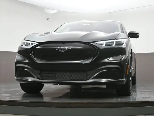 2022 Ford Mustang Mach-E - Photo 41