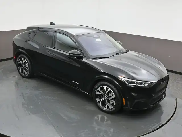 2022 Ford Mustang Mach-E - Photo 46