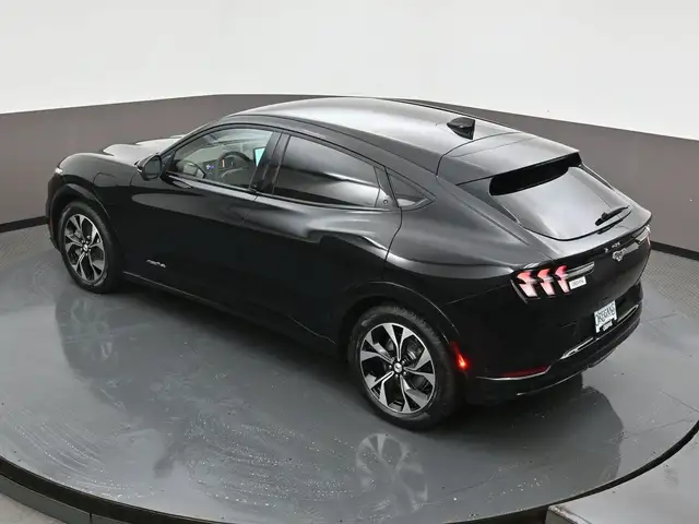 2022 Ford Mustang Mach-E - Photo 50