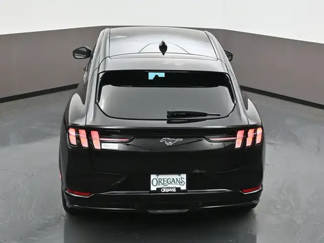 2022 Ford Mustang Mach-E - Photo 51