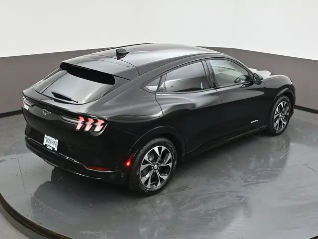 2022 Ford Mustang Mach-E - Photo 52