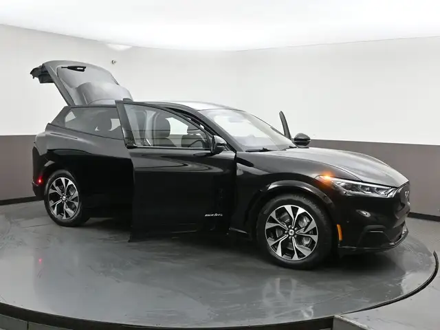 2022 Ford Mustang Mach-E - Photo 55