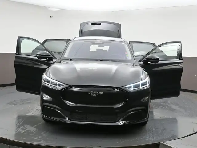 2022 Ford Mustang Mach-E - Photo 56