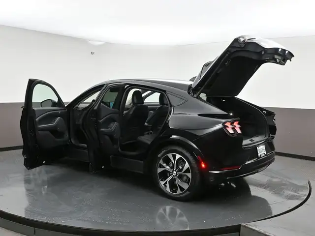 2022 Ford Mustang Mach-E - Photo 59