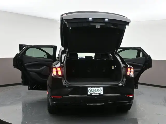 2022 Ford Mustang Mach-E - Photo 60