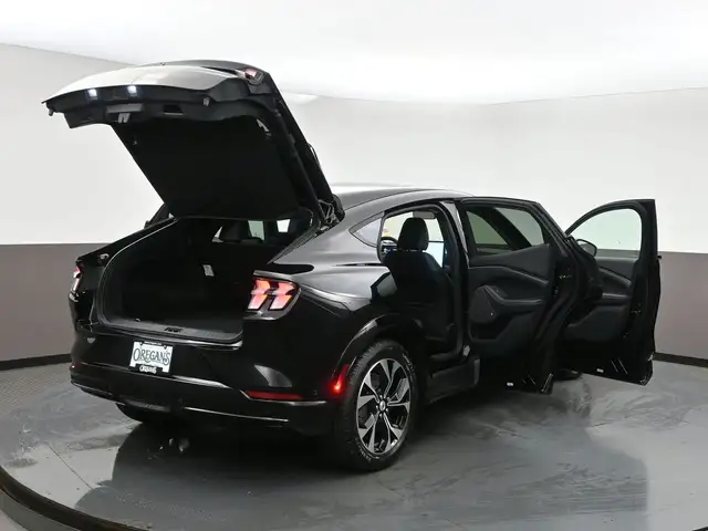 2022 Ford Mustang Mach-E - Photo 61