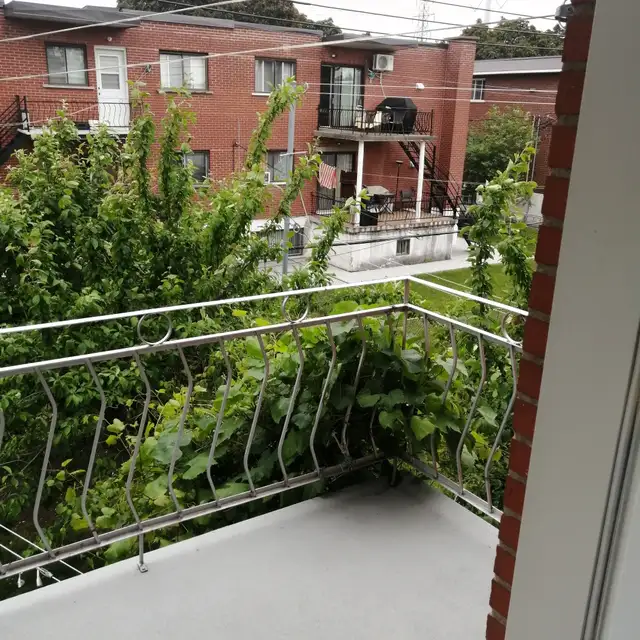 ST LEONARD :  CHAUFFER-RENOVER-REPEINTE-SABLER/VERNIS - Photo 16