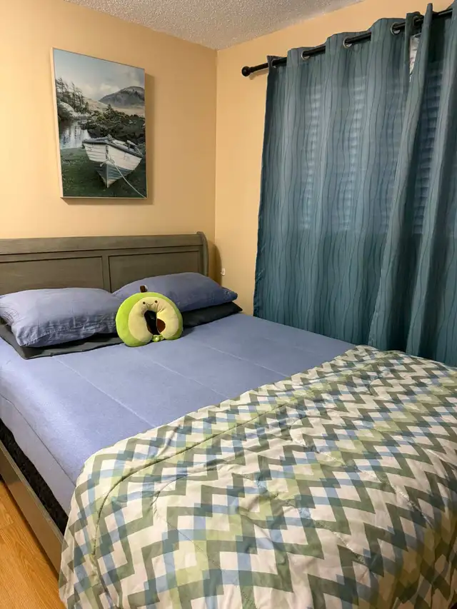 Room available for rent