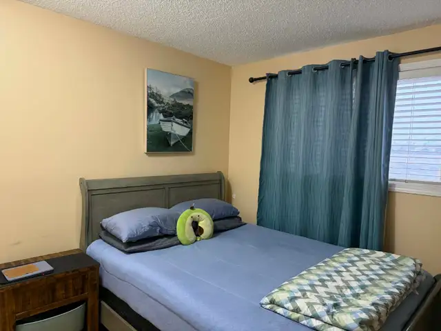Room available for rent - Photo 3
