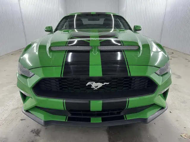 Ford Mustang EcoBoost 2019 à vendre - Photo 4