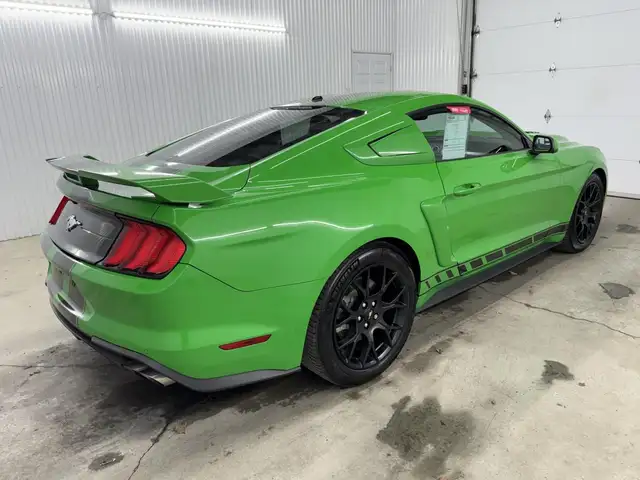 Ford Mustang EcoBoost 2019 à vendre - Photo 11