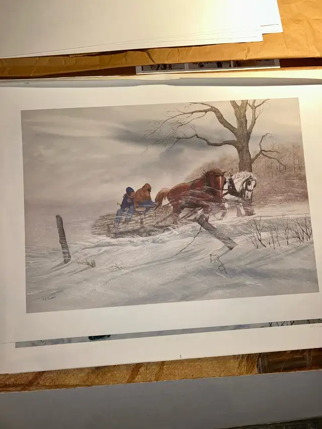 Beautiful collection of Arman Paquette prints (20 in total) - Photo 6