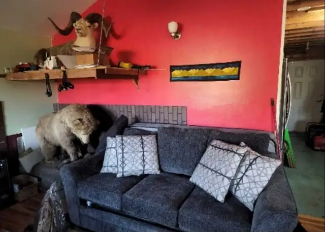 Country Residential - Self Contained - Off Grid - Photo 3