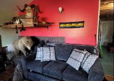 Country Residential - Self Contained - Off Grid - Photo 3