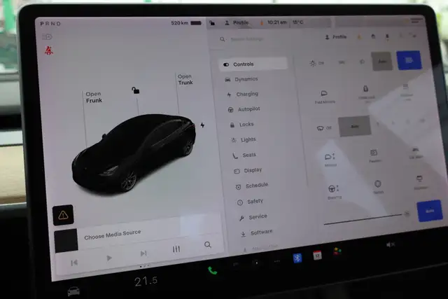 2021 Tesla Model 3 - Photo 19