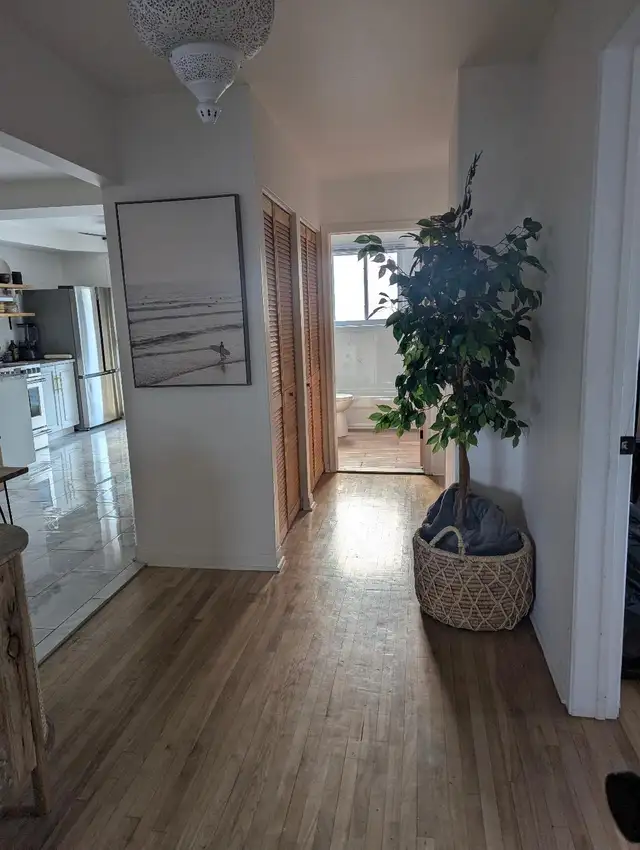 BEAU GRAND 5 1/2 À LOUER À SAINT-LÉONARD MONTRÉAL - Photo 3