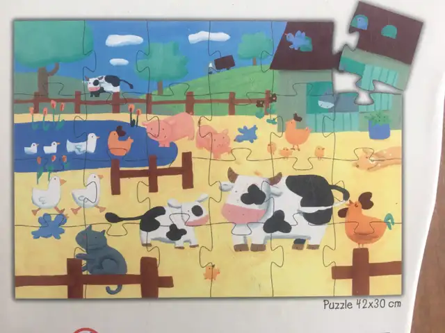 Casse-têtes (10 CT) – 24 pièces (K4) - Photo 7