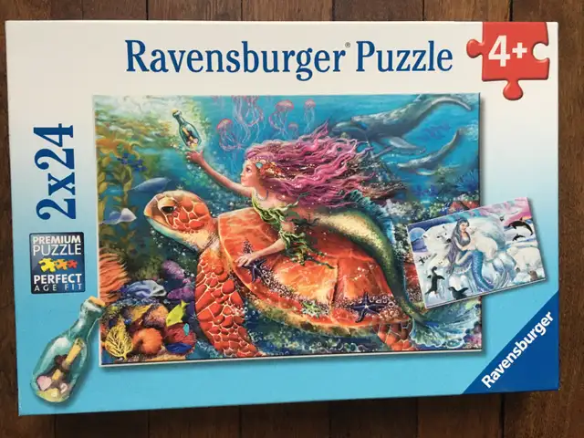 Casse-têtes (10 CT) – 24 pièces (K4) - Photo 10