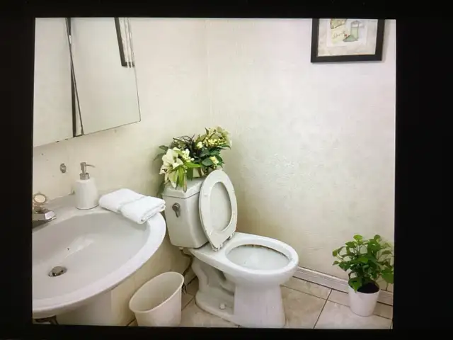 Large furnished room avail. May 1, 2026  YONG/STEELS - Photo 7