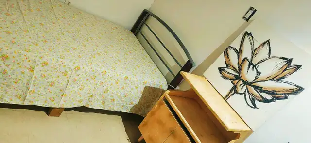 ✨Nice Furnished 2-Bed Basement | Private Entrance, Prime Dufferi