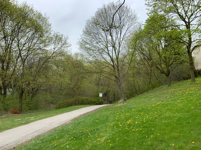 Bright Room near Seneca College - Photo 10