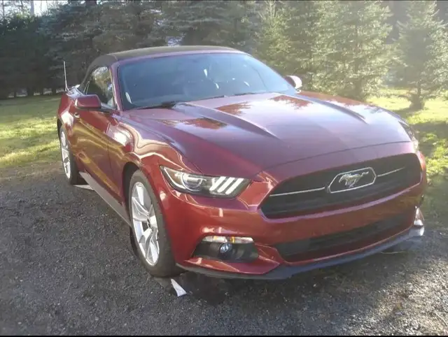 Mustang Convertible 2015
