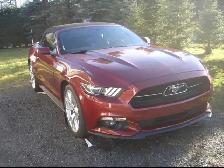 Mustang Convertible 2015