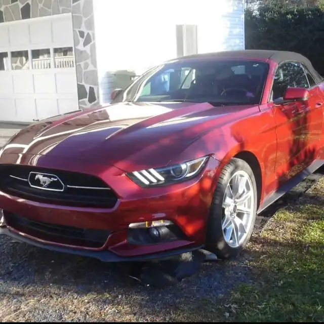 Mustang Convertible 2015 - Photo 3
