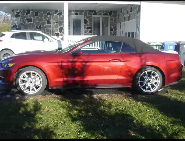 Mustang Convertible 2015 - Photo 4