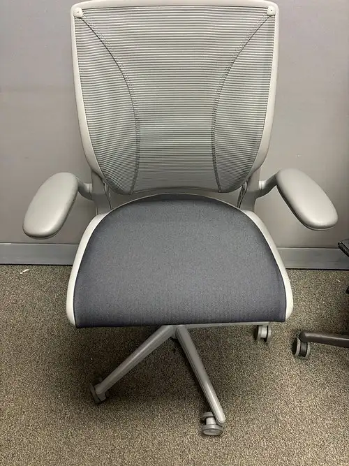 Humanscale Diffrient World Task Chair!