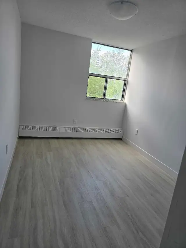 looking for a roommate/shared room in a 3-bedroom