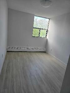 looking for a roommate/shared room in a 3-bedroom