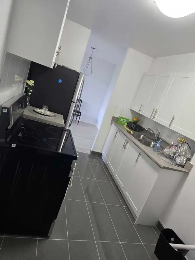 looking for a roommate/shared room in a 3-bedroom - Photo 3