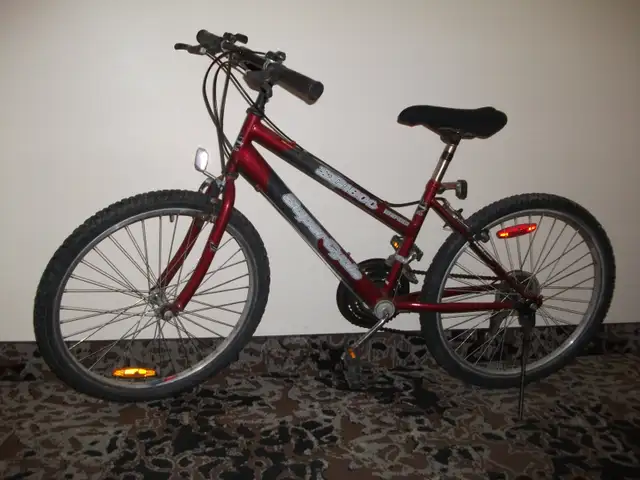 26'/24' Good bikes - Photo 2