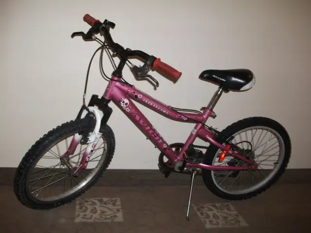 Kids good bikes