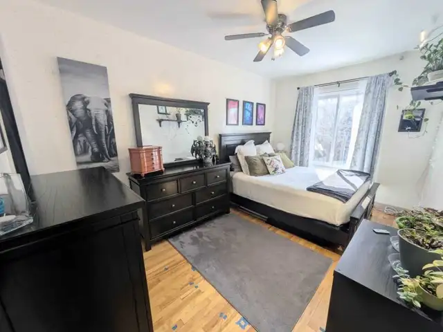 logement a villeray - Photo 2