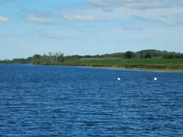 Titled RV Lots 4% financing Deep Woods RV Campground - Photo 4